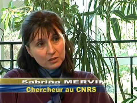Voir la vidéo