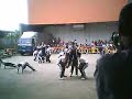 PSU PEPSQUAD B\
