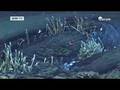 Die Geheimnisse des Asphalts- DW TV Folge 2