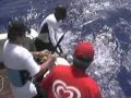 St-Martin Billfish Tournament compilation Part 3.
