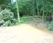 pit bike n puch maxi turbo