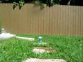 R700 Sniper BB Gun and Pop Can