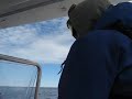 Haida Gwaii Zodiac Part II