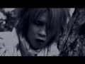 [PV] Juka - SAINT CROIX