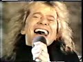 Magnum-Vigilante