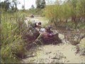 videos de Muddin 10/08
