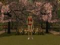 DAZ 3D AniMATE test using MOVIESTORM
