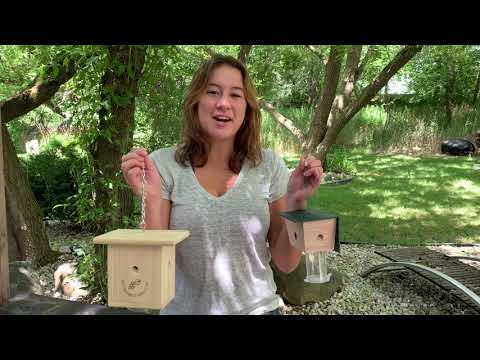 image preview of video showcasing Tips & Tricks to Help Set Up Your Carpenter Bee Trap