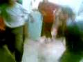 videos de el piolo y el bolos cumbeando 1