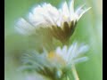"The verb to be" (Vocal)