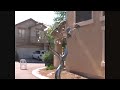 the evolution of flora kinetic sculpture by jason stillman  3 