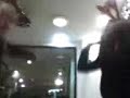 Laura and Sarah Salmon Slap