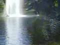 videos de Surfer@Türkenschanzpark Vienna Austria 1180 part 2
