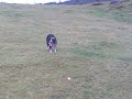 Somhairle_1