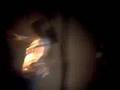 videos de LIKE ME - CHARLOTTE TOWN (17-10-08)