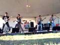 RFM 2007 - Wild Illusion
