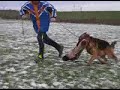 BSZS_male_protection.flv
