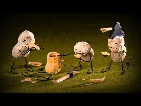 Grand National Music Profile Bandmine Com