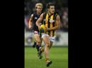 Hawthorn Hawks