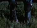  - MovieZen Video