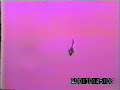 BO 105 with a fatal ending...