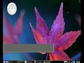 Pardus Linux KDE 4.01