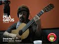 Dread Mar I - Acustico en PelaGatos - Reggae Dread Mar I - Acustico en PelaGatos - Reggae