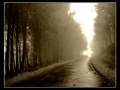 videos de Phill Colins -- En Marcha Estoy.wmv