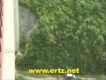 PUPU�NTING AZKOITIA