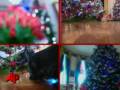 Raw Video: Barney's Final Christmas Video
