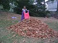 Laurel in Fall Leaves