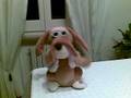 videos de Canonzo