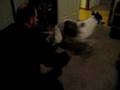 videos de Boys Will Be Boys