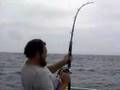 Ranfurly Banks Fishing Trip 2007 NZ