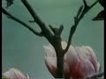 alan-watts-the-art-of-meditation.html
