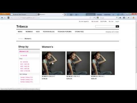 Business Catalyst Ecommerce Product Catalogs | Adobe BC Training