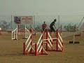 DSCN0001.MOV