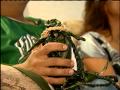 Good News For Waimanalo Family Who Lost Their Baby's Ashes