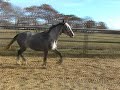 vid�o pour blog