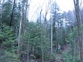 Ziplining Clip 11 Ziplining Clip 11