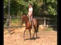 For Sale: Sport-recreatie E-pony!