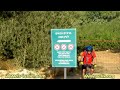 Mountain biking. Israel. Nature reserves Sataf and Nahal Khalilim. Israel. Заповедники Сатаф и Нахаль Халилим. Израиль.