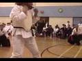 Koshiki Karate Tournament Highlights