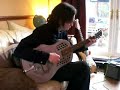 Ashbury Tricone resonator guitar