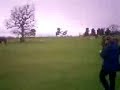 wild-woods.html