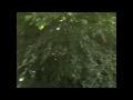 Webisode 3 - Solar power magic Webisode 3 - Solar power magic