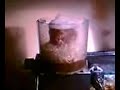 Homemade Tunze style protein skimmer update