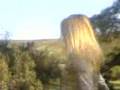 s�per dans�z