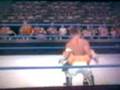 videos de vertebreaker