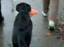 Frida+puppe Frida+puppe